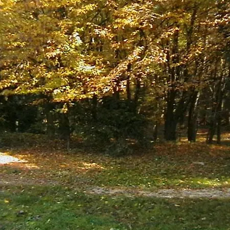Tokert Vendeghaz * Őriszentpéter