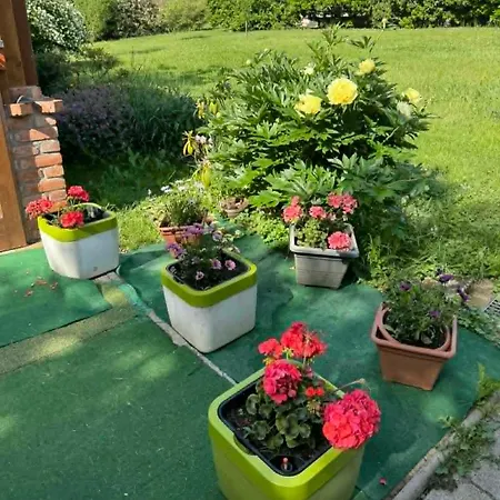 Tókert Apartamento Őriszentpéter