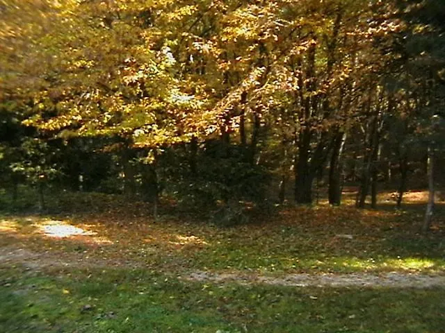 Tokert Vendeghaz * Őriszentpéter